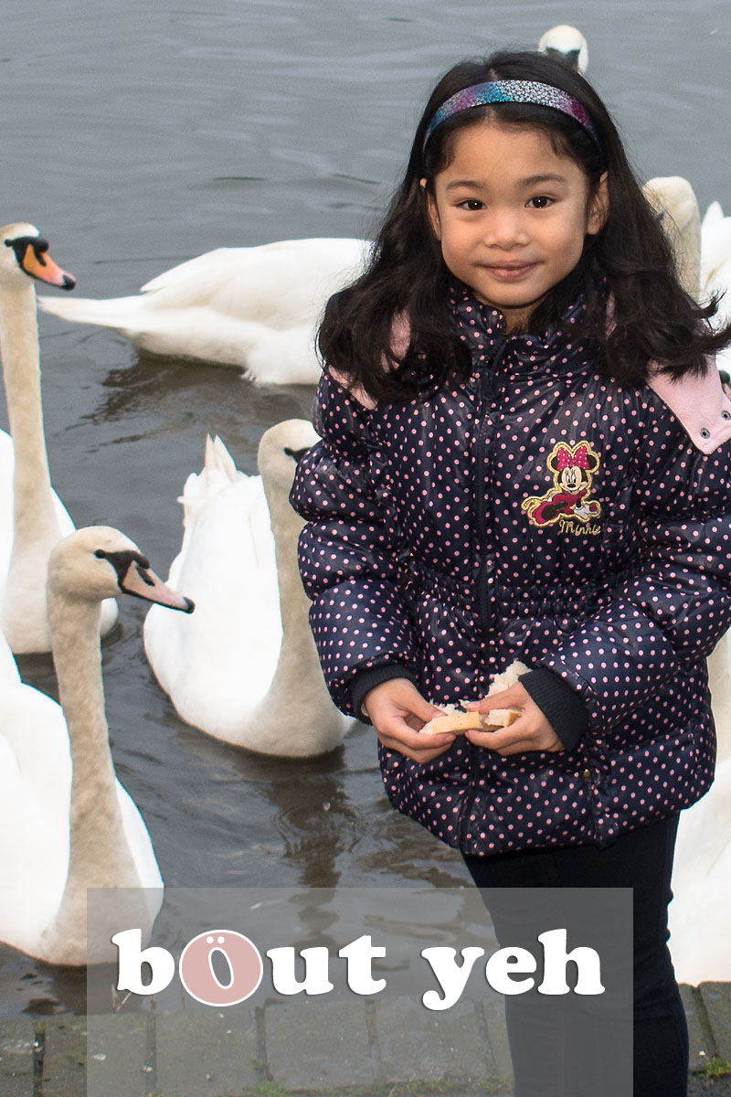 Young girl and father feeding swans at Waterworks, Belfast, Northern Ireland - bout yeh photographers Belfast photo 3982.
