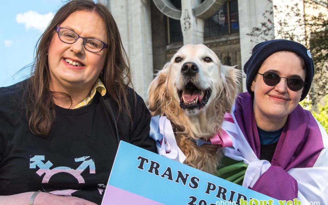 Trans Pride NI Festival announced