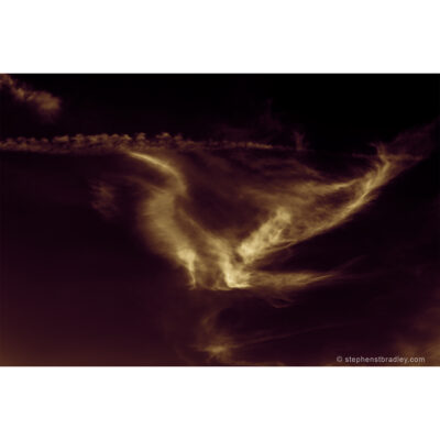 Freesoar - limited edition photographic print of birdlike cloud formation over Newtownabbey, Northern Ireland, by photographer Stephen S T Bradley, for sale by Bout Yeh art gallery