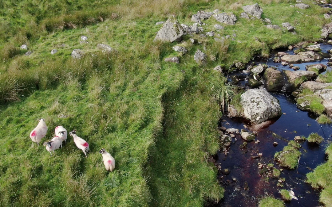 Glendun to Cushendun